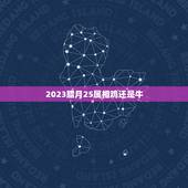 2023腊月25属相鸡还是牛，属相鸡生辰十月26五行属什么？属相猪生辰