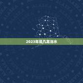 2023年是几龙治水，今年是几龙治水