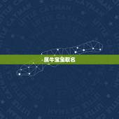 属牛宝宝取名，属牛的人取名字带什么好