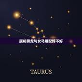 属相男龙与女马婚配好不好，男的属相龙和女的属相马配吗？