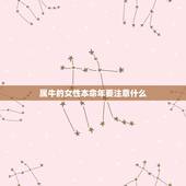 属牛的女性本命年要注意什么，我是19851017属牛的女孩子本命年应该