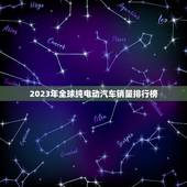 2023年全球纯电动汽车销量排行榜