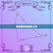 鸡和猴的姻缘怎么样，属鸡与属猴的婚姻如何