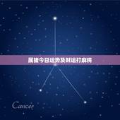 属猪今日运势及财运打麻将，属猪今日运势财运打麻将奇缘阁