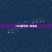 1985属牛的一生命运，1985年属牛2月出生的命运
