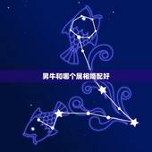 男牛和哪个属相婚配好，属牛男生和属龙女生婚姻配吗