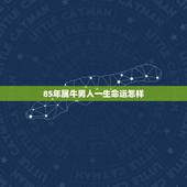 85年属牛男人一生命运怎样，1985年属牛人一生运程