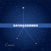 生肖马和生肖鼠能婚配吗，属相婚配：男属马和女属鼠相配吗