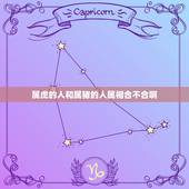 属虎的人和属猪的人属相合不合啊，本人生肖属虎。请问和属猪的人是不是相克