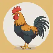 属鸡的今年60几岁哪一年出生的，属鸡的今年60几岁了