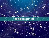 狮子座2023年11号，2023年狮子座全年运势详解