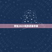 想生2023年的虎备孕表，2023年生虎宝宝好不好