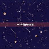 1993年属孩的婚配，1993年属孩的婚姻
