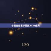 牛宝宝起名字男孩2023免费，牛年宝宝名字大全2023有寓意