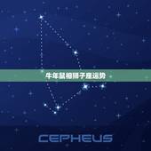 牛年鼠相狮子座运势，属鼠狮子座2023年运势详解