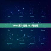 2023属牛运程112月运程，2023年牛年运势