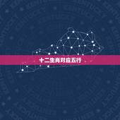 十二生肖对应五行，12生肖属金，水五行生肖是什