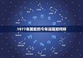 1977年属蛇的今年运程如何样(蛇行天下财运亨通)