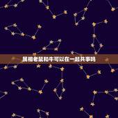 属相老鼠和牛可以在一起共事吗，属鼠的和属牛的可以在一起做生意吗