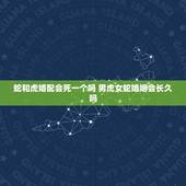 蛇和虎婚配会死一个吗 男虎女蛇婚姻会长久吗