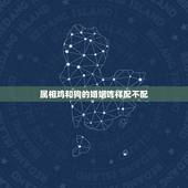 属相鸡和狗的婚姻咋样配不配，属鸡的和属狗的配吗？女属鸡和男属狗配吗？