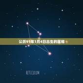 公历91年1月4日出生的属相，1991年农历一月一日生的人是属什么生肖
