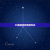 95属猪男的婚配(如何选择最适合的伴侣)