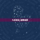 九五年生人猪男运势，九五年生人属什么