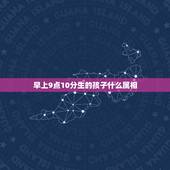 早上9点10分生的孩子什么属相，上午十点半属于什么时辰