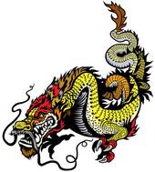 88年龙男婚姻全揭秘，最佳配偶竟是TA