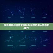 属鸡的男与属羊女相配不 属鸡的男人性格和脾气