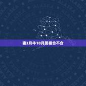 猪3月牛10月属相合不合，属牛和属猪的人合不合