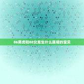 86男虎和88女龙生什么属相的宝贝，男属虎女属龙生属什么的宝宝好