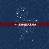 2023属相运势大全新浪，2023生肖运势最好排名