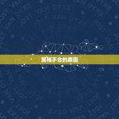 一家人属相不合怎么办(如何化解家庭矛盾)