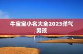 牛宝宝小名大全2023洋气男孩，牛年宝宝名字大全2023有寓意