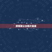 摩羯座公主图片星座，十二星座代表的怪