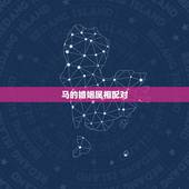 马的婚姻属相配对，属马的和什么属相最配 属马的属相婚配表？