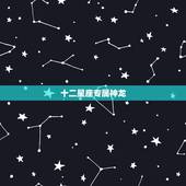 十二星座专属神龙，十二星座的黑暗神龙