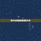 男牛女鸡婚配属相合不合，男属属牛相配吗