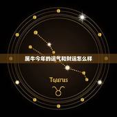 属牛今年的运气和财运怎么样，2023属牛女人的运势和财运如何？