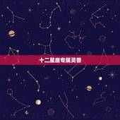 十二星座专属灵兽，十二星座的守排名