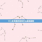 十二生肖里的龙和什么属相最配，属龙和什么属相最配