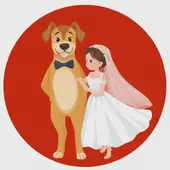 1982年属狗的最佳婚配表图片，1982年属狗男婚配表