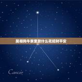 属相狗牛家里放什么花招财平安，属牛的应该养什么花招财运亨通