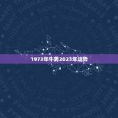 1973年牛男2023年运势，1973年属牛2023年每月运势