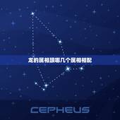 龙的属相跟哪几个属相相配，属龙的和什么属相最配