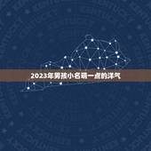 2023年男孩小名萌一点的洋气，小名2023洋气有哪些？