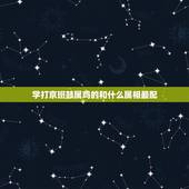 学打京班鼓属鸡的和什么属相最配，鸡与什么生肖相合相生