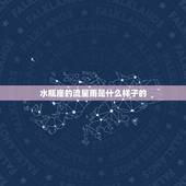 水瓶座的流星雨是什么样子的，2023 年流星雨时间地点